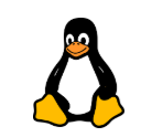 Linux platform